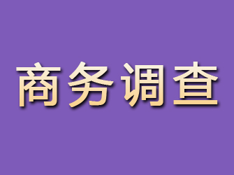 江都商务调查